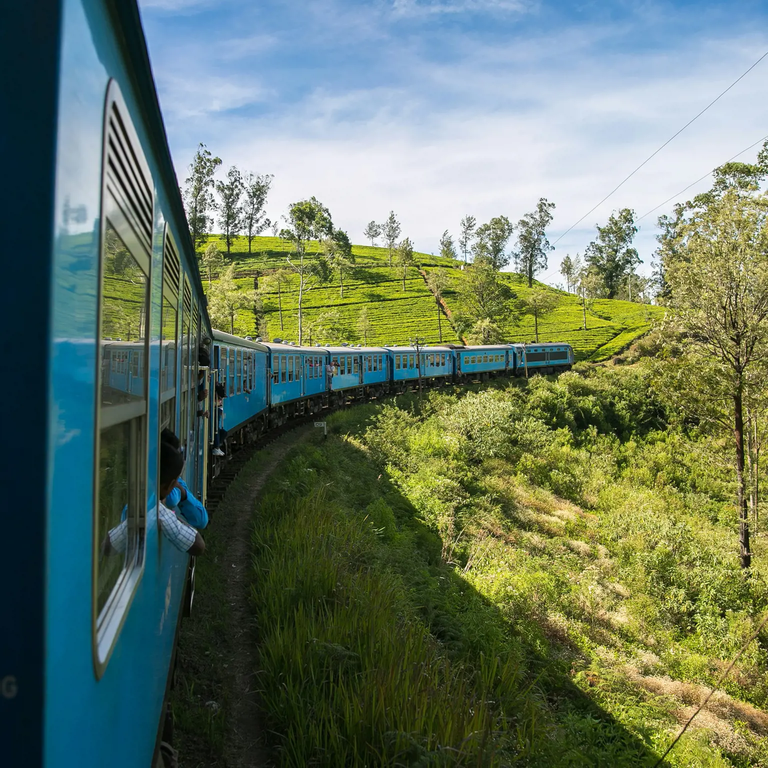Blicke auf die Teeplantagen aus dem Fenster eines Zuges auf dem Weg ins Hochland